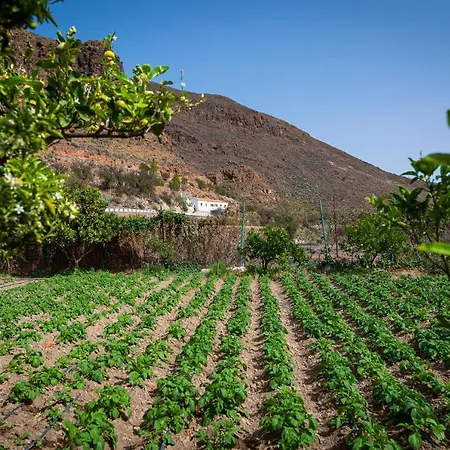 Villa Casa Rural Temisa Temisas